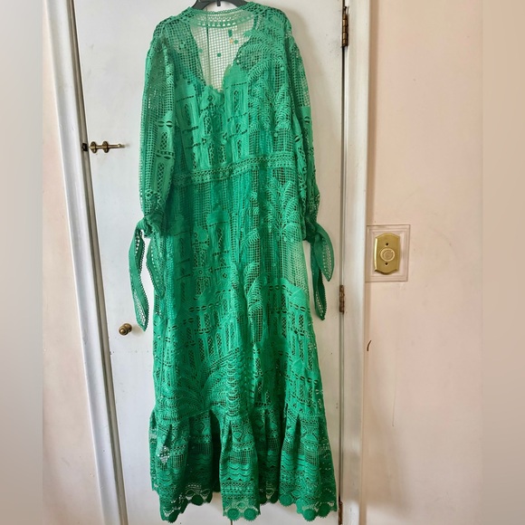 FARM Rio Green Morada Boa Guipure Lace Maxi Dress - Picture 7 of 16